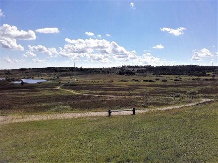Ved Præstbjerg Naturpark