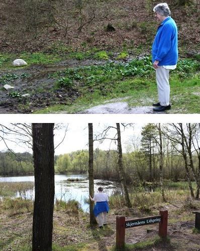 Område ved udspring Gudenå og Skjernå