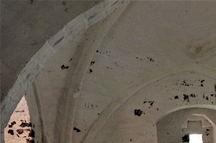 Ved Stubbe Kloster ruin