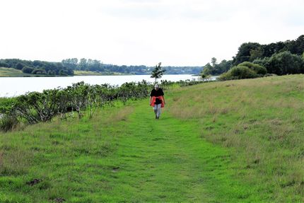 Naturområde ved Tvis Mølle