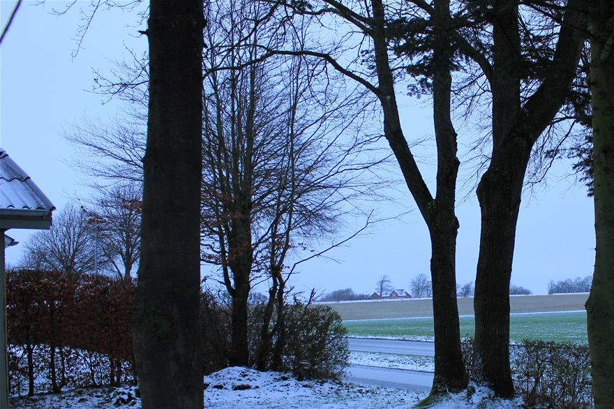 Vinterens første sne faldt 6. januar 2021