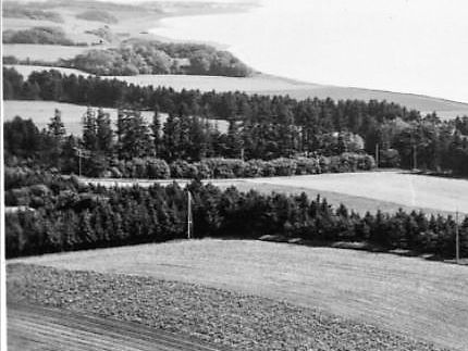 Sønderriis Venø 1954